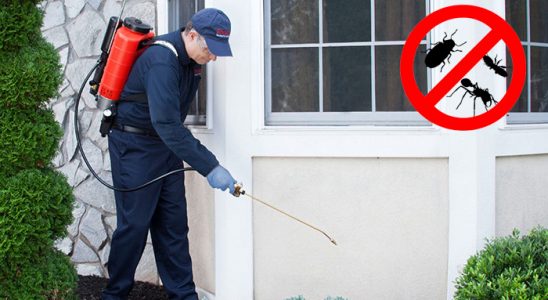 İzmit Hamam Böceği İlaçlama böcek ilaçlama ve haşere kontrolü — ilaclama-tr.com